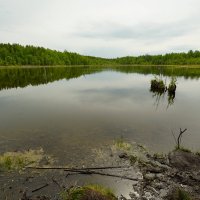 Карасятник... :: Николай Гирш Карасятник... :: Николай Гирш