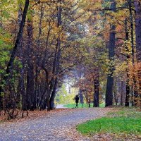 Осенний этюд :: Сергей Швечков