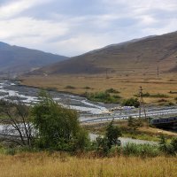 *** :: Марина Виноградова