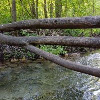 Горные реки :: Рустам Кашапов