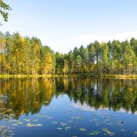 Большое Шелексозеро :: Марина Никулина