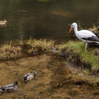 Мимоходом из Тверской :: Владимир Колесников