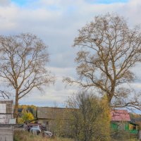 Осенний день :: Анастасия Логинова