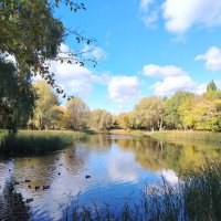 На Воронежских озёрах осенью. Самара :: Надежда 