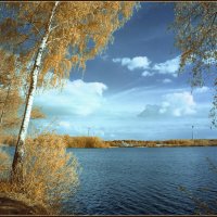 Первомай в жёлто-оранжевых тонах... :: Николай Гирш