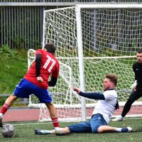 *** :: Наталья Вязигина