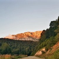 ГУАМСКОЕ УЩЕЛЬЕ :: Tata Wolf