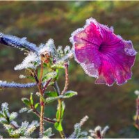 Вот и лето прошло... :: Валентин Котляров