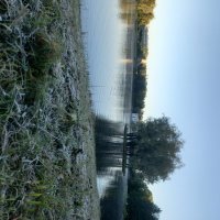 Заморозок :: Сапсан 