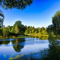 Смоленская осень в конце сентября. :: Милешкин Владимир Алексеевич 