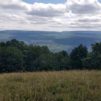 ЛАГОНАКИ :: Tata Wolf