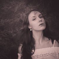 Портрет и хвоя :: Максим 