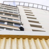 Кто тут? :: Валерий Иванович