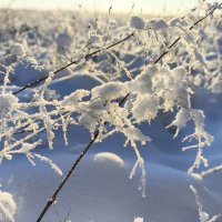 Зима :: Anna Ivanova