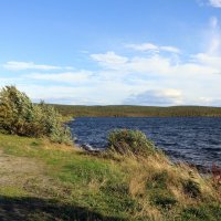 Ветерок :: Ольга 