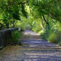 В парке :: Андрей Л. В. В парке :: Андрей Л. В.