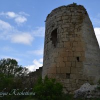 Природа Крыма :: Amazing Cosmea