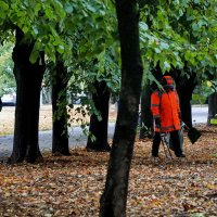 Немного о красном... :: Николай Саржанов