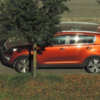 Просто проба :) :: Юрий Куликов