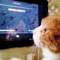 умный :: Владимир умный :: Владимир