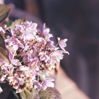 Настроение - осень. :: Андрей Город