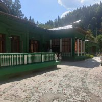 Дача Сталина в Абхазии на озере Рица :: Ирэн 