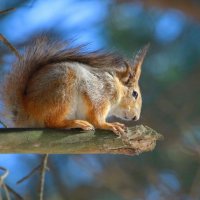 высотница... :: Andrey Bragin высотница... :: Andrey Bragin