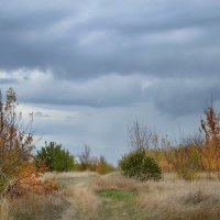 Перед дождём... :: Надежда Куркина 