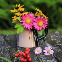 композиция ранней осени .. :: Татьян@ Ивановна композиция ранней осени .. :: Татьян@ Ивановна