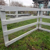 Кузя... :: Андрей Катков