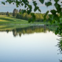 Пруд. :: Александр Турлин Пруд. :: Александр Турлин