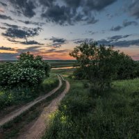 Дорога на закат :: Ирина 