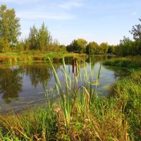 На речке :: Андрей Снегерёв На речке :: Андрей Снегерёв