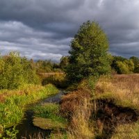 Бабье лето 8 :: Андрей Дворников