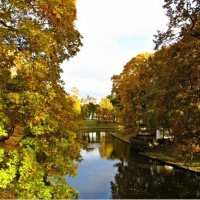 осень :: марта Камушкина