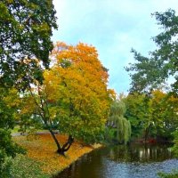 осень :: марта Камушкина