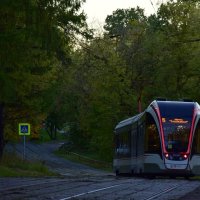 Трамвай уходящий в сказочный лес)) :: Мария Яковлева