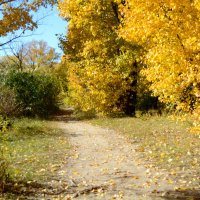 В парке :: Андрей Л. В.