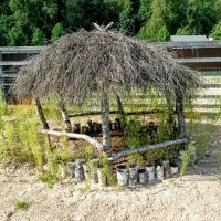 Беседка для китайских  шелковых куриц) :: Veera V