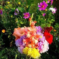 Букет сентября! :: Нина Андронова