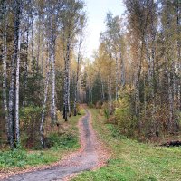 Шагает осень по Уралу :: Любовь Сахарова