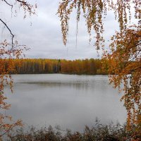 Шагает осень по Уралу :: Любовь Сахарова