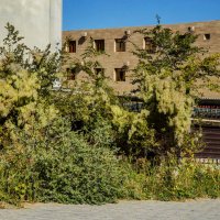 На заборе :: Анатолий Чикчирный