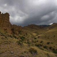 Вдоль дороги необычно :: LudMila 