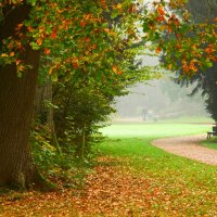 Туманное утро :: Юрий. Шмаков