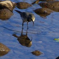 !!!! :: kolyeretka !!!! :: kolyeretka