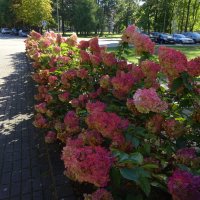 Прощяй, сентябрь :: rimgis 