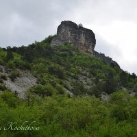 Природа Крыма :: Amazing Cosmea Природа Крыма :: Amazing Cosmea