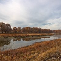 Первый ледок :: MILAV V