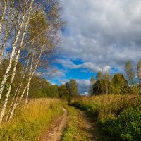 Осень :: Андрей Андрианов Осень :: Андрей Андрианов